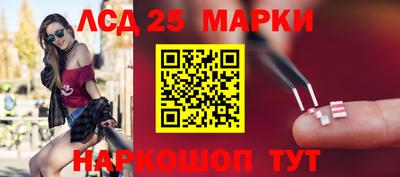 кокс Гатчина