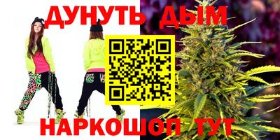 кокс Гатчина