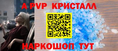 кокс Гатчина
