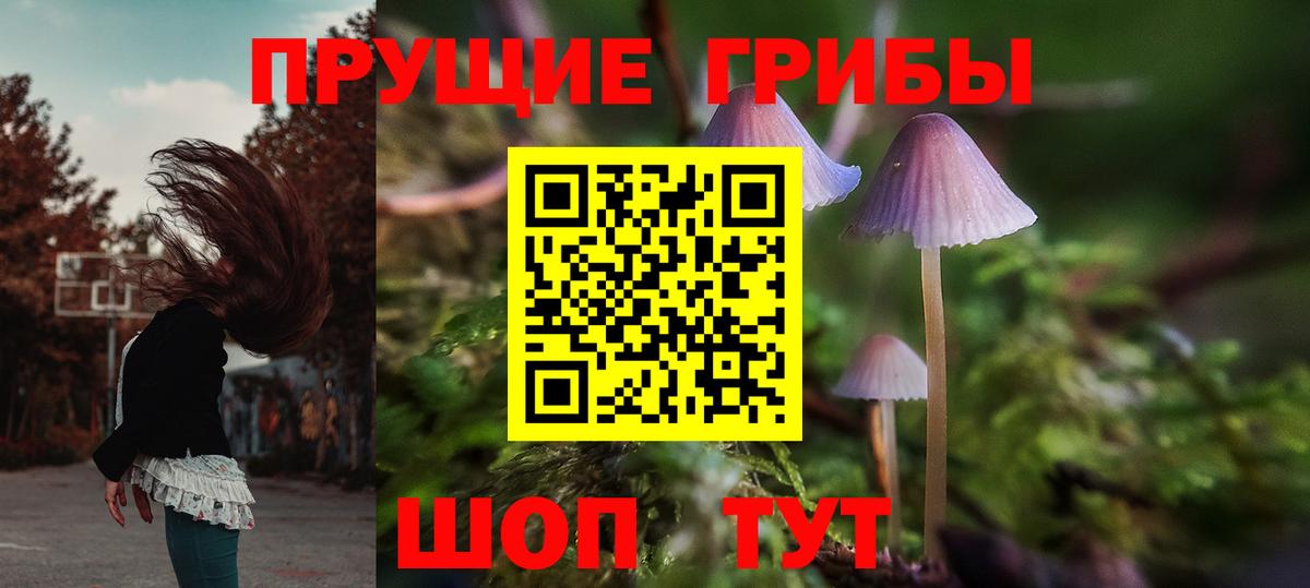 Галлюциногенные грибы Magic Shrooms  Вход с VPN  Междуреченск  Псилоцибиновые грибы мухоморы 